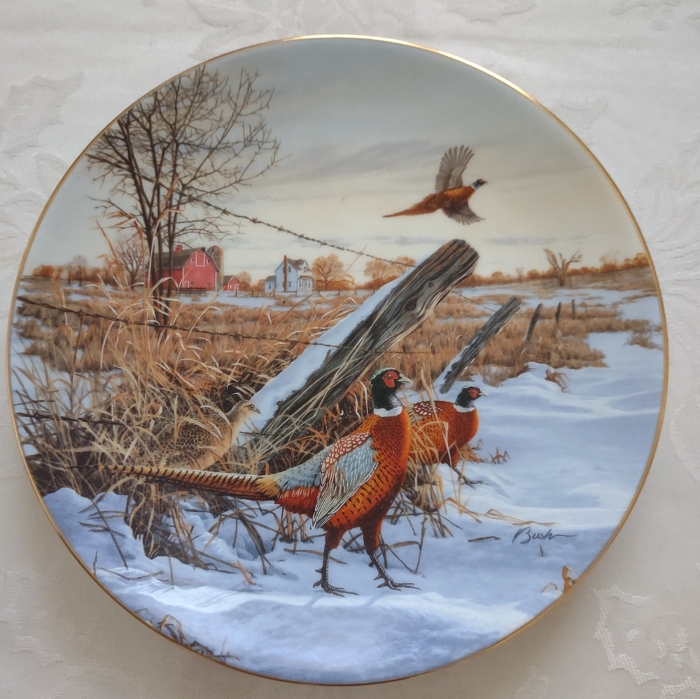 Field birds of America Winter Colors Necked Pheasant Gold Rim Darrell Bush